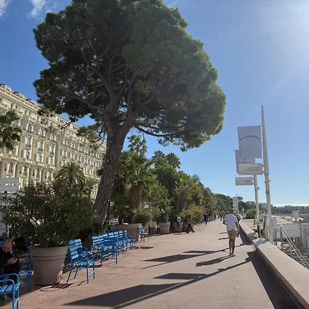 Terrasse Croisette Cannes